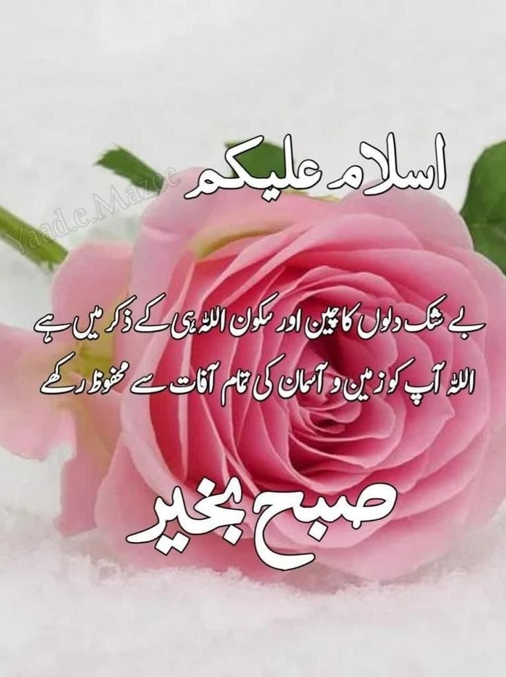 dua good morning wishes urdu