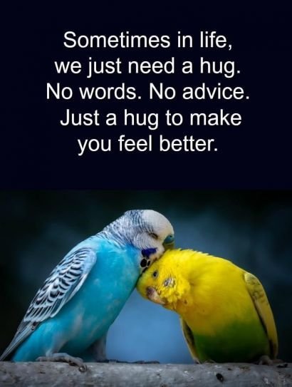 Good Morning Hug Images