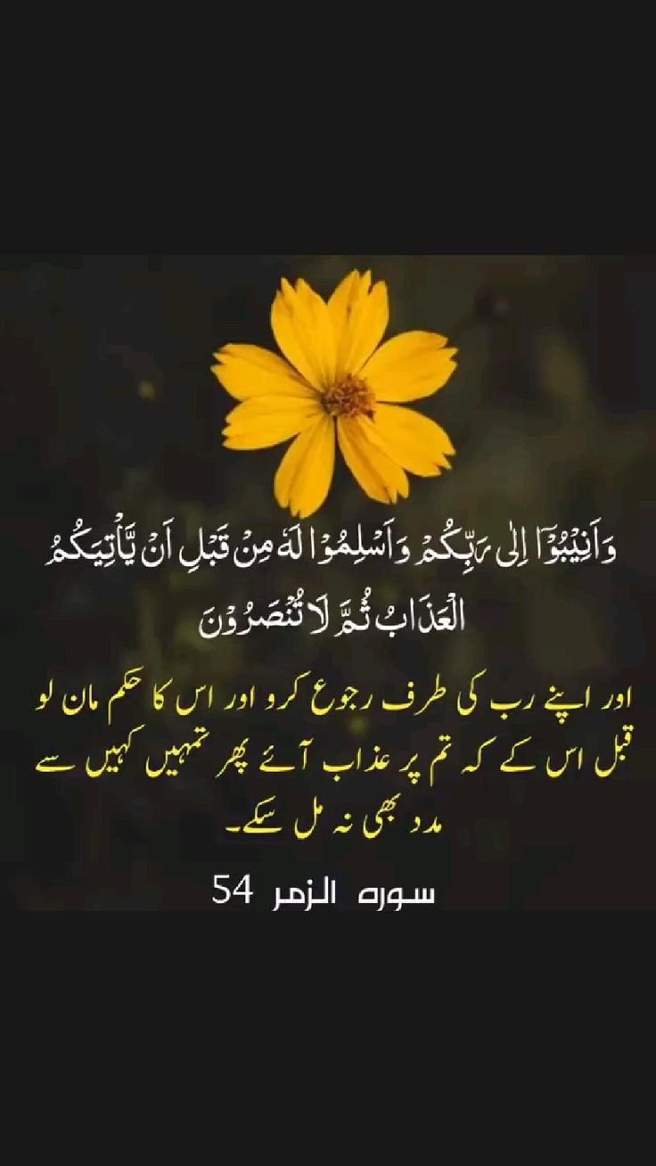 good morning wishes in urdu 10