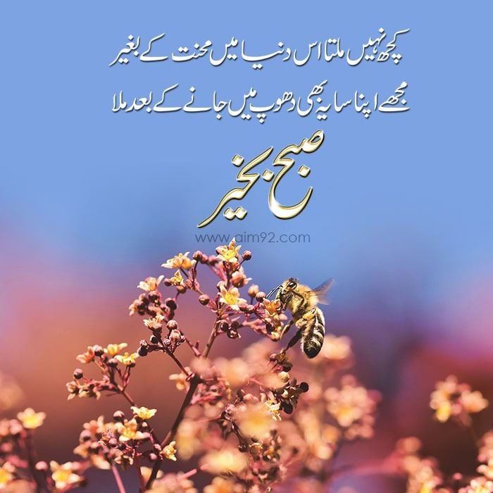 good morning wishes in urdu 2
