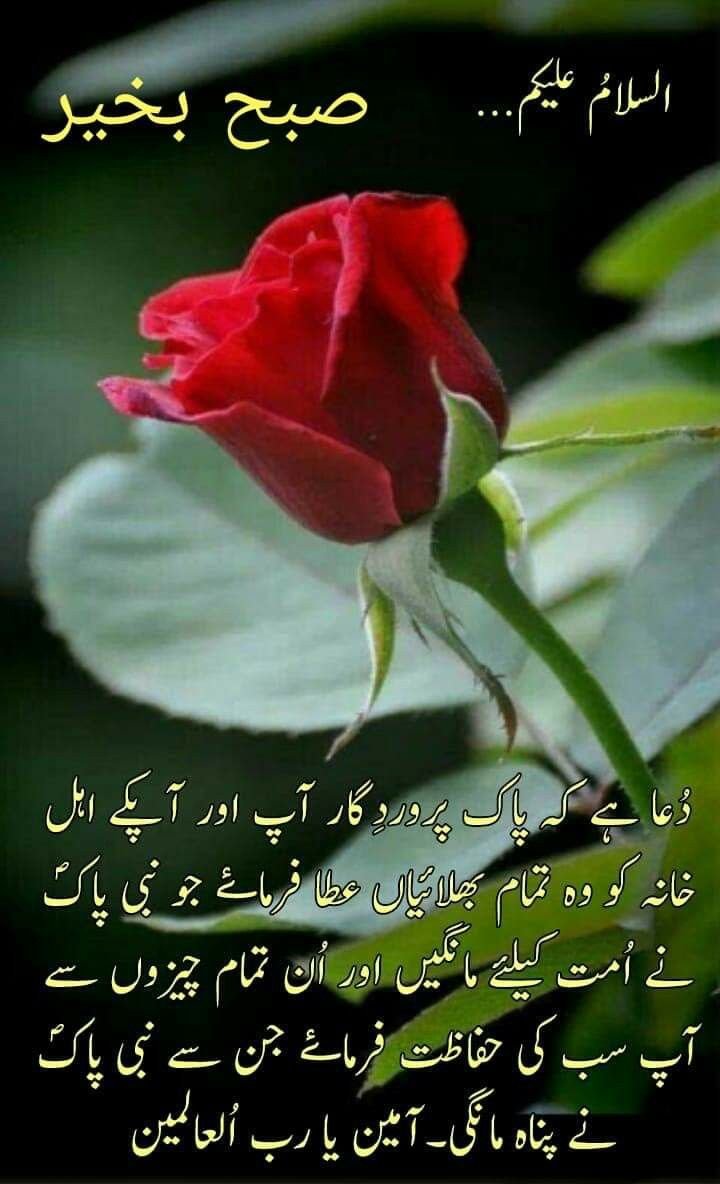 good morning wishes in urdu 31