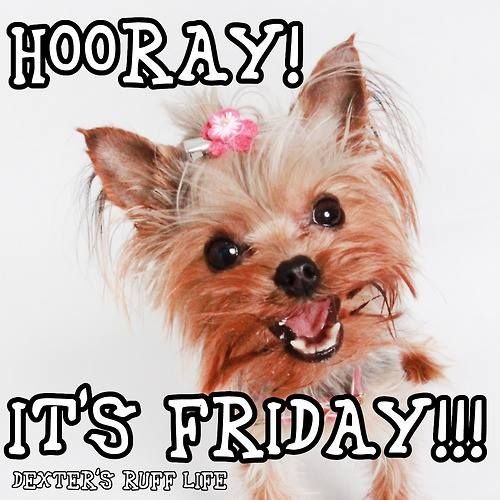 hooray ! It's Friday