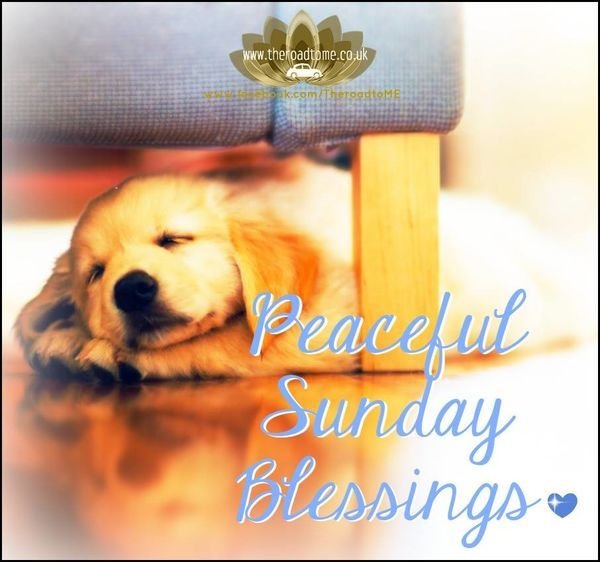 Peaceful Sunady Blessings