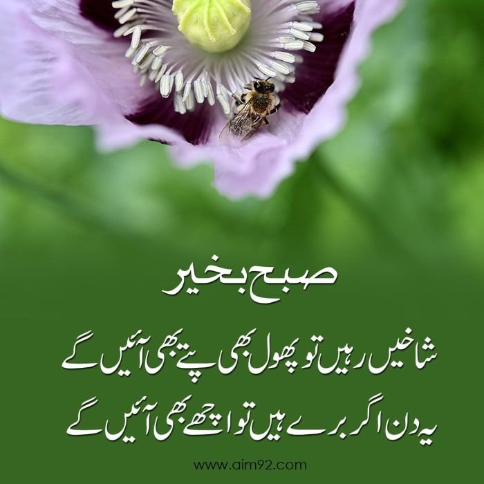 Subha Bakhair - Good Morning Image in Urdu