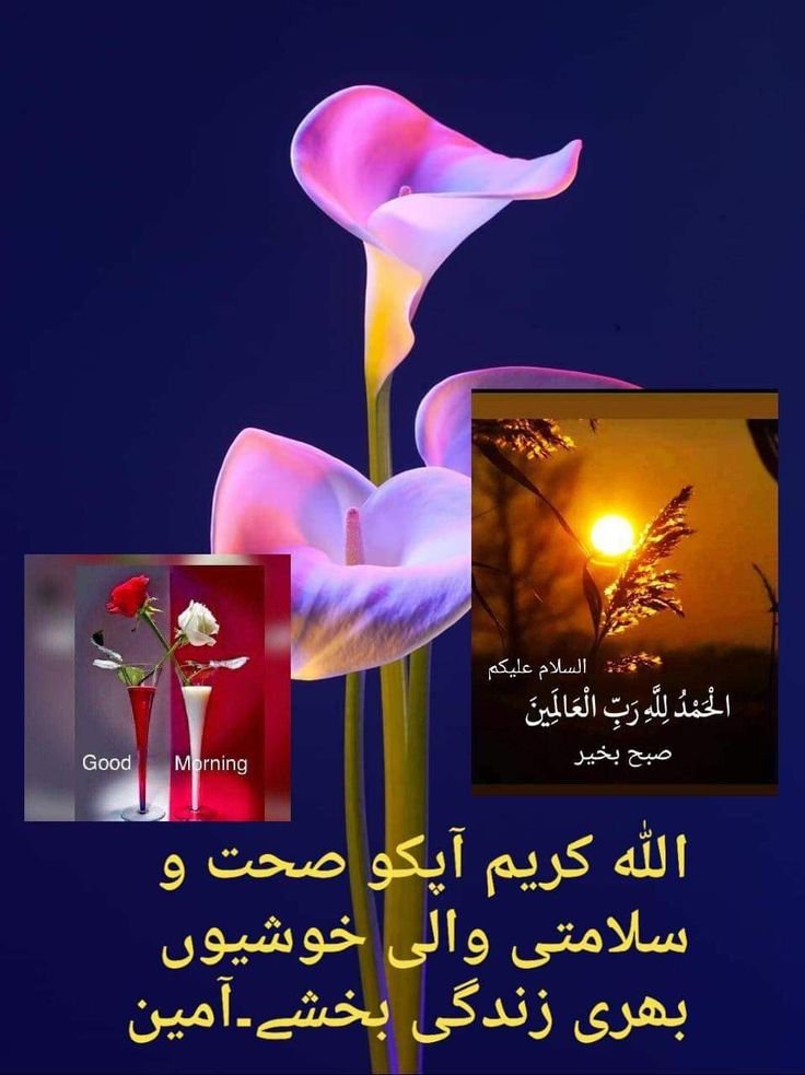Subha Bakhair - Good Morning Image in Urdu