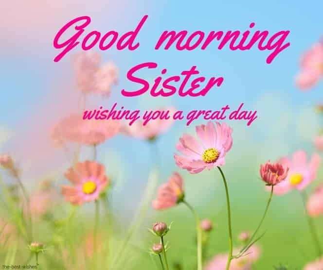 Good Morning Sister Image