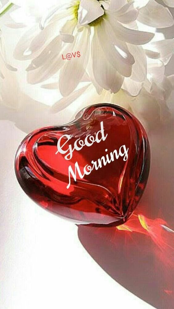Good Morning with Heart Image
