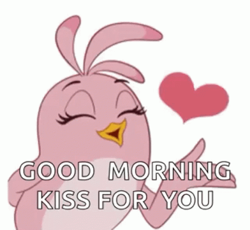 beautiful good morning kiss gif  images