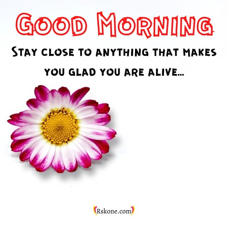 good morning baby images