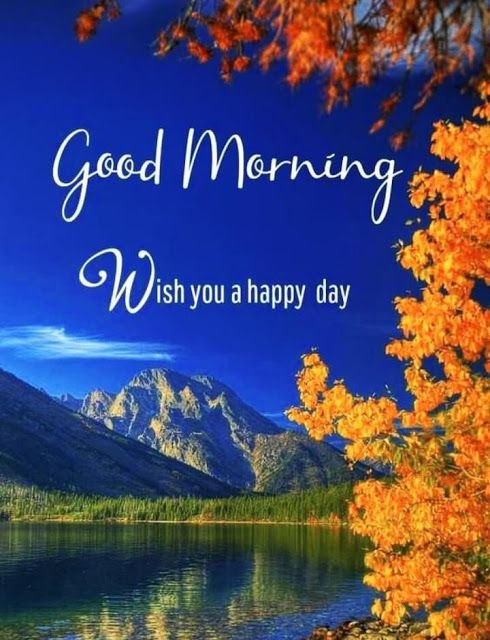 good morning nature