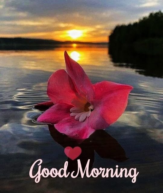 good morning nature