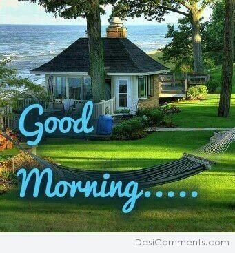 good morning nature