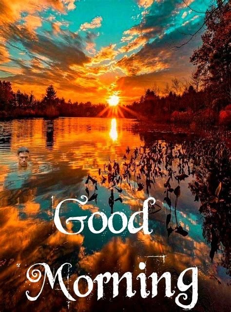 good morning nature