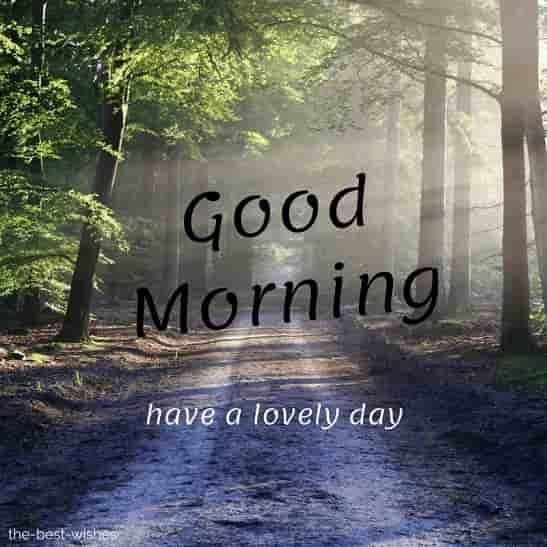 good morning nature