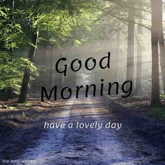 good morning have a lovely day