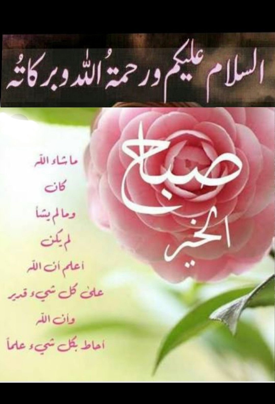 25 Islamic Good Morning Images In Urdu