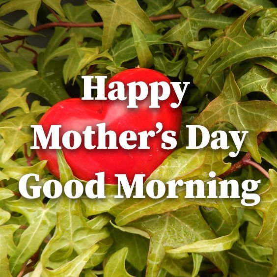 Good Morning Mother's Day Images