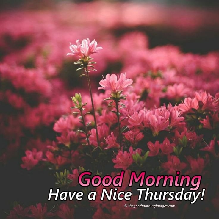 good morning thursday