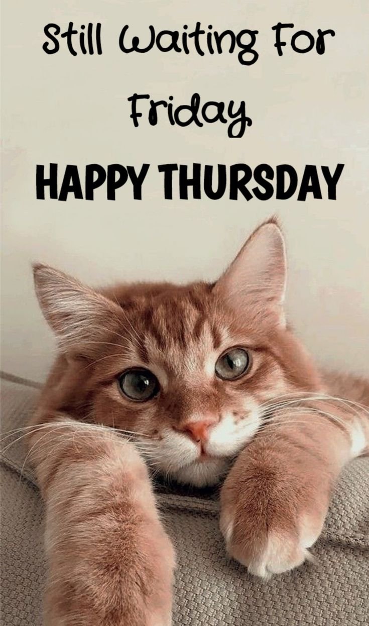 good morning thursday