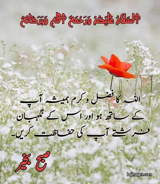 good morning wishes in urdu images
