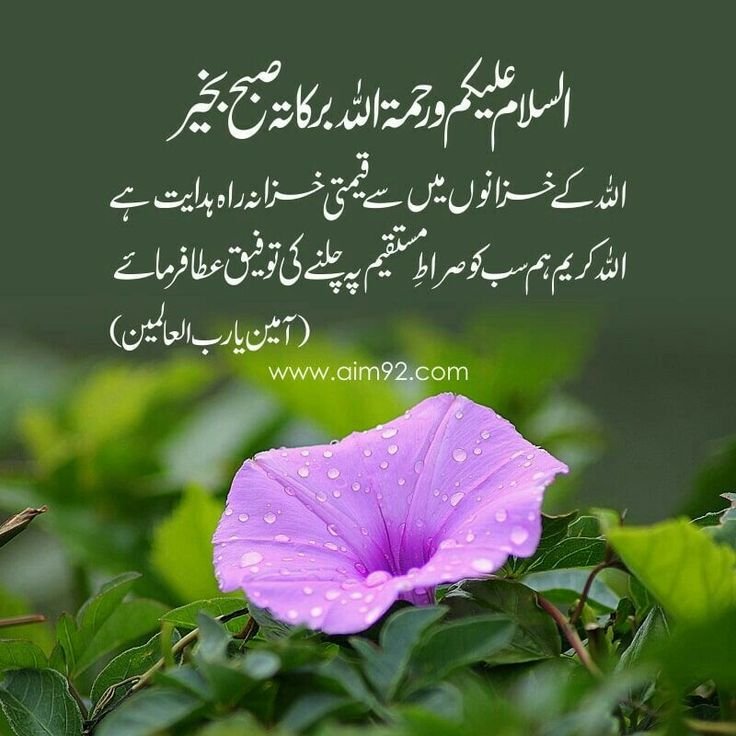 good morning wishes in urdu images