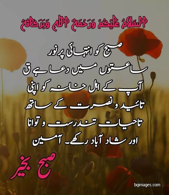 good morning wishes in urdu images