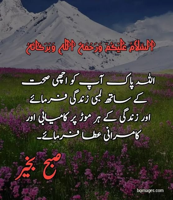 good morning wishes in urdu images
