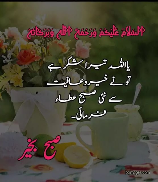 good morning wishes in urdu images