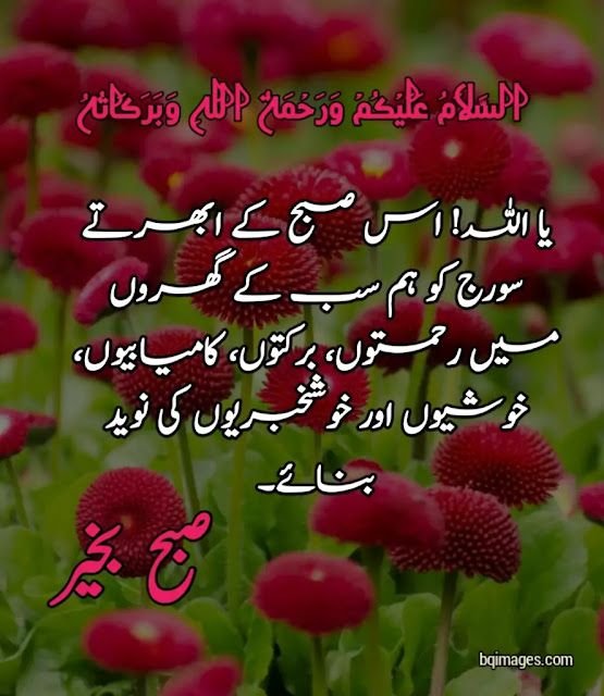 good morning wishes in urdu images