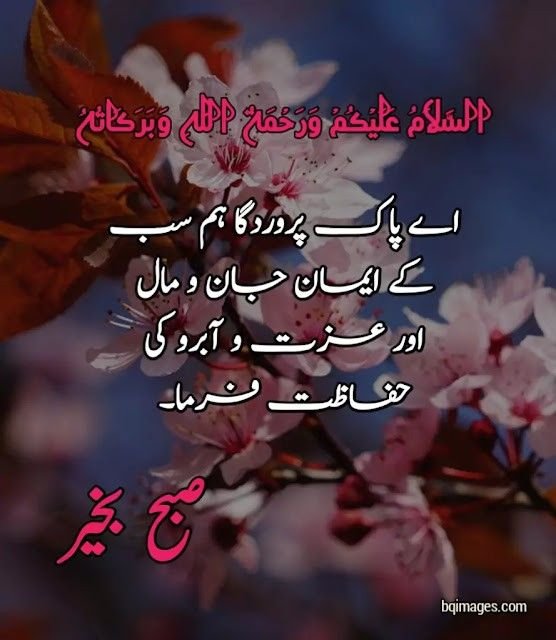 good morning wishes in urdu images