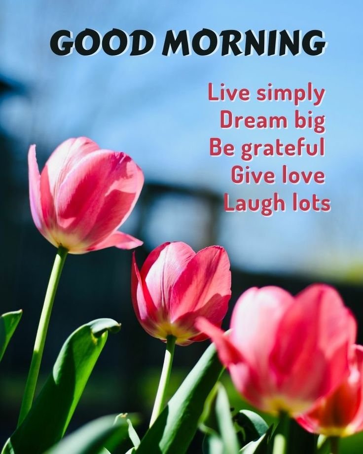Good morning message with flower