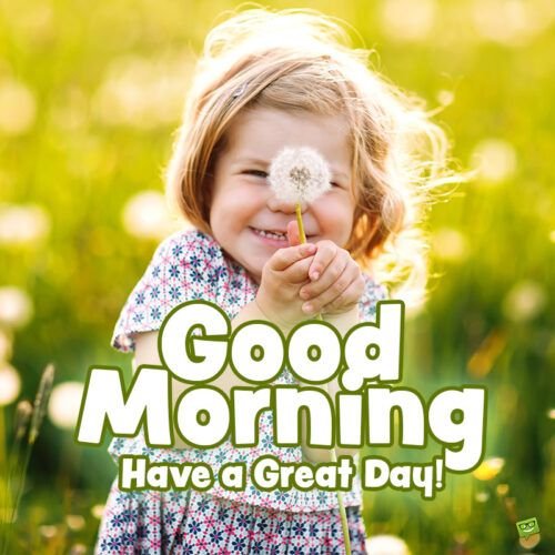 20+ Have a Great Day Images