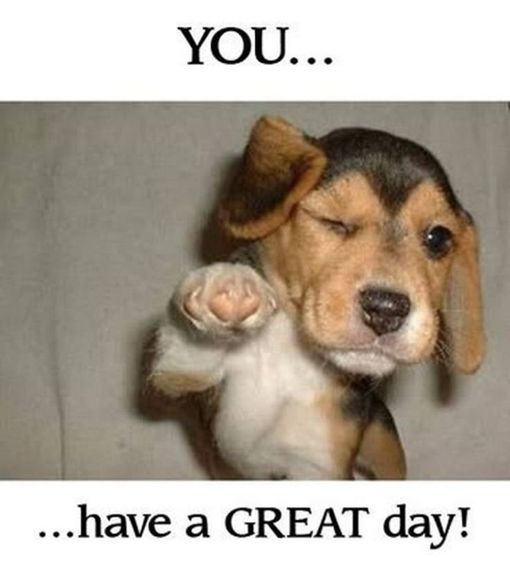 Have a Great Day Images