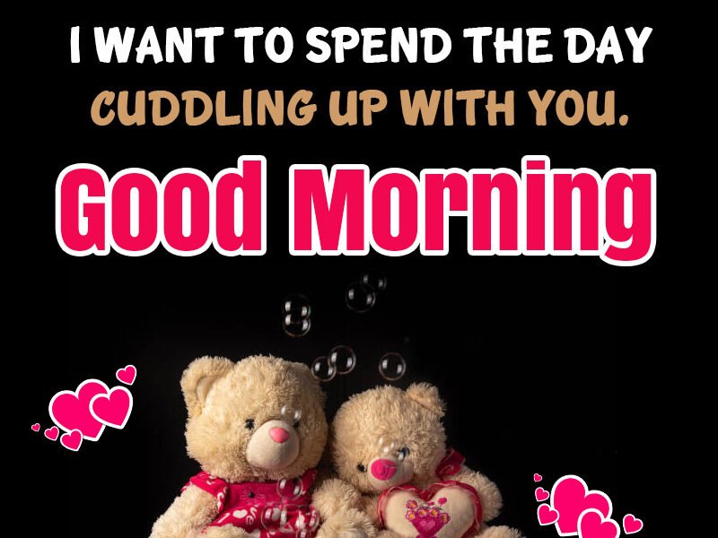 Cute Teddy Good Morning Message Image
