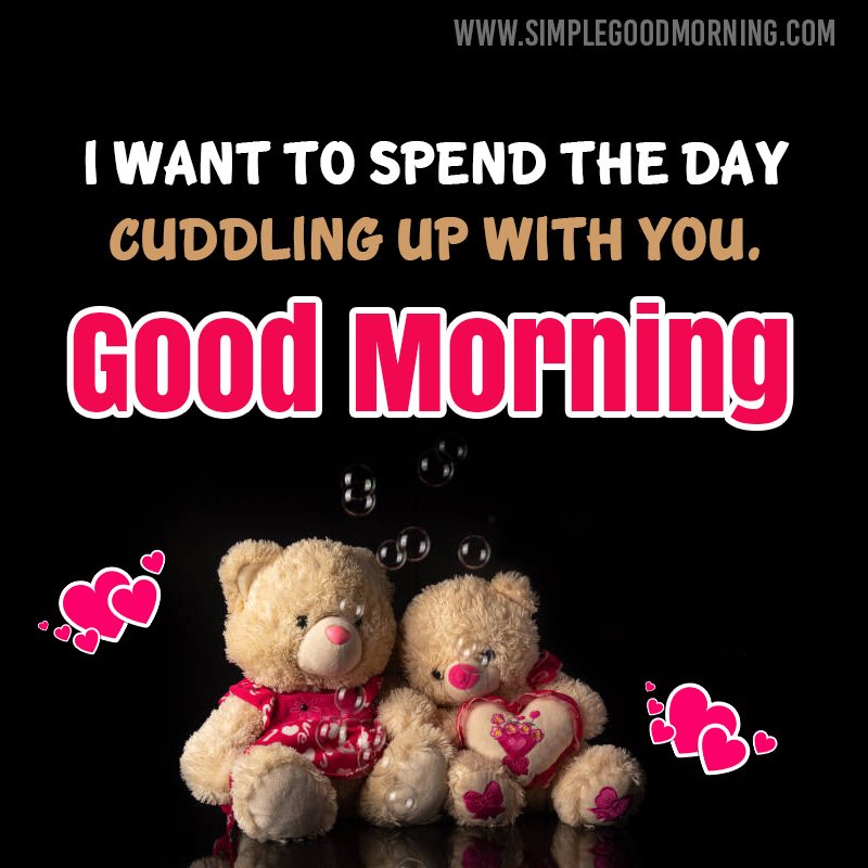 Cute Teddy Good Morning Message Image