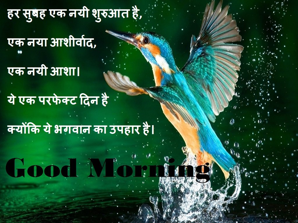 Good Morning images in Hindi