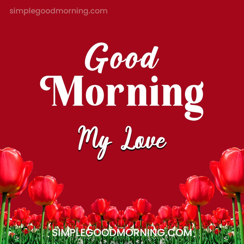 40+ Good Morning Love Images, Graphics, Pictures