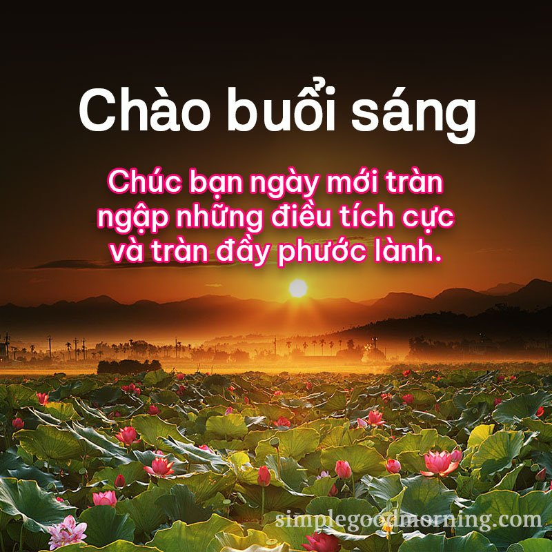 Good Morning Images In Vietnamese