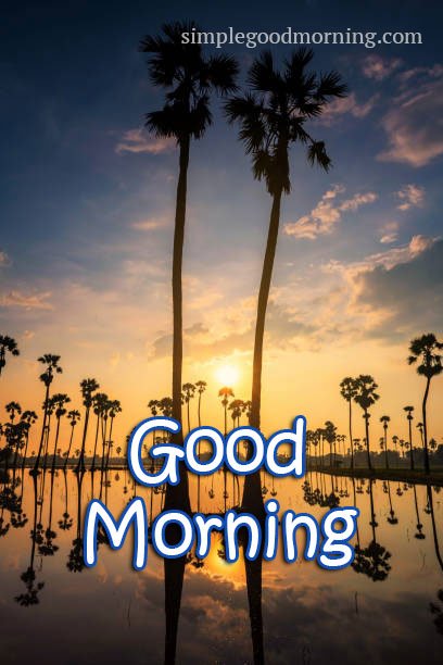 Good-morning-tree-images